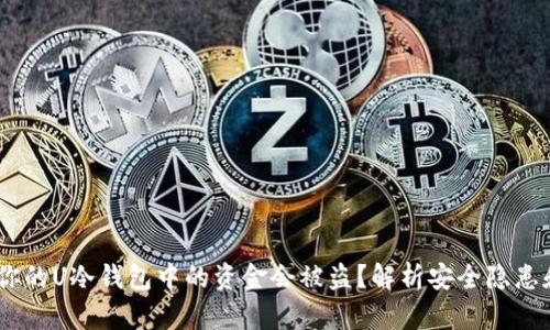 揭秘：为何你的U冷钱包中的资金会被盗？解析安全隐患和防护措施