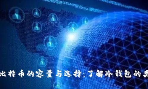 冷钱包存储比特币的容量与选择：了解冷钱包的类型与安全性