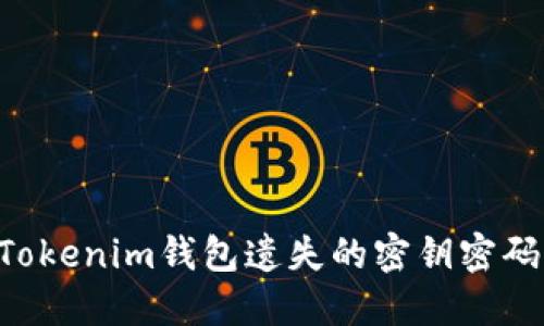 如何找回Tokenim钱包遗失的密钥密码：详细指南