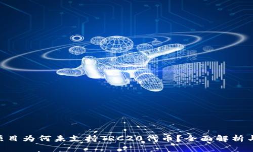 Tokenim项目为何未支持TRC20代币？全面解析与市场前景