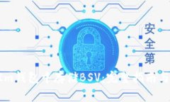 如何在TokenIm钱包中存储BSV：完整指南与常见问题