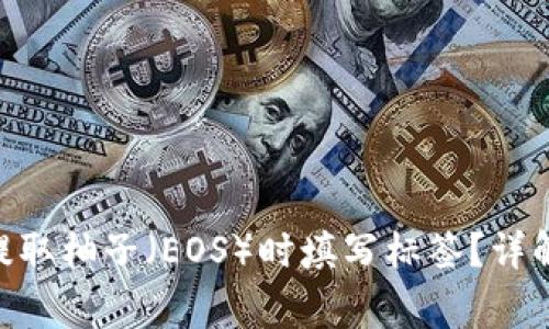 如何在Tokenim钱包提取柚子（EOS）时填写标签？详解提取流程与注意事项