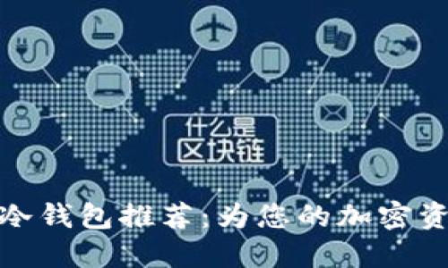 最安全的苹果支持冷钱包推荐：为您的加密资产提供全方位保护