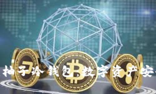 深入了解Tokenim柚子冷钱包：数字资产安全保护的最佳选择