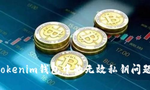 如何解决Tokenim钱包中的无效私钥问题：全面指南