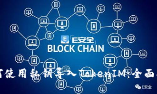 如何使用私钥导入TokenIM：全面指南