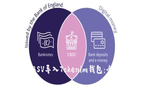 如何将BSV导入Tokenim钱包：全面指南