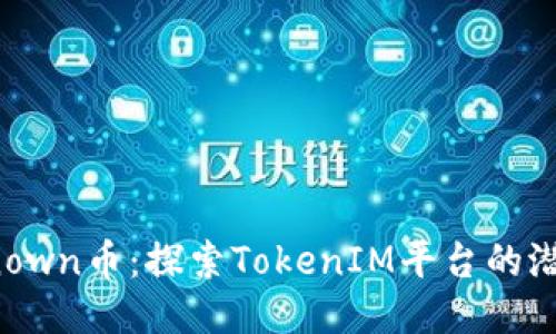 Kickunknown币：探索TokenIM平台的潜力与未来