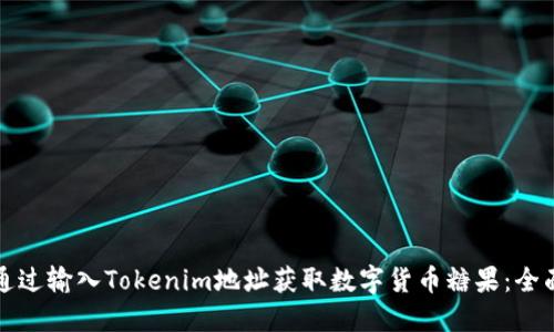 如何通过输入Tokenim地址获取数字货币糖果：全面指南