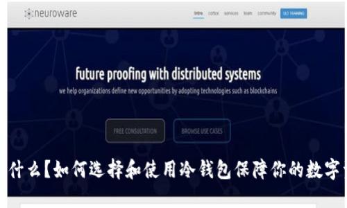 冷钱包是什么？如何选择和使用冷钱包保障你的数字资产安全