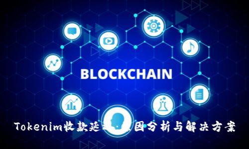 Tokenim收款延迟：原因分析与解决方案