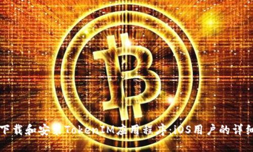 如何下载和安装TokenIM应用程序：iOS用户的详细指南