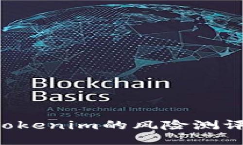 如何通过Tokenim的风险测评：全面指南