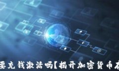 冷钱包需要充钱激活吗？揭开加密货币存储的真