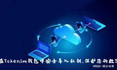 示例：如何在Tokenim钱包中安全导入私钥，保护您