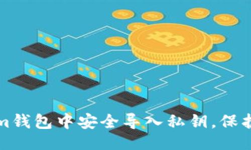 示例：
如何在Tokenim钱包中安全导入私钥，保护您的数字资产