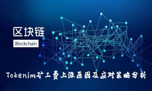 Tokenim矿工费上涨原因及应对策略分析