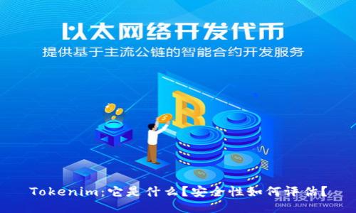 Tokenim：它是什么？安全性如何评估？