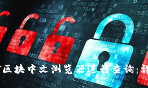 如何使用USDT区块中文浏览器进行查询：详解与实用指南